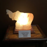 Elephant Salt Lamp