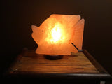 Fish Crafted Himalayan Salt Lamp